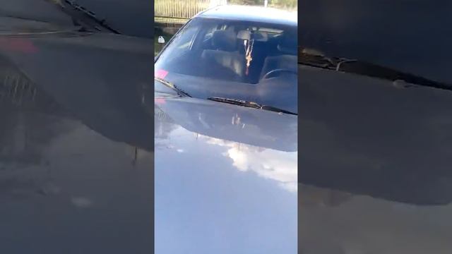 Продажа Ауди 80 смотреть онлайн