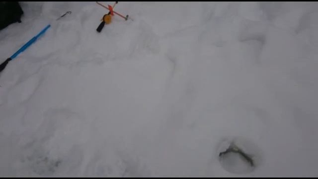 Рыбалка Голицыно Fish смотреть онлайн