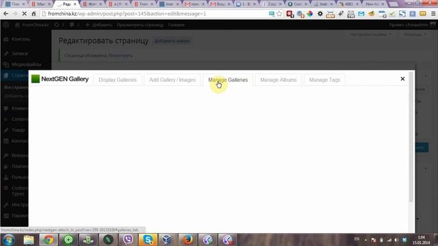 Плагин галереи NextGEN Gallery в Wordpress смотреть онлайн
