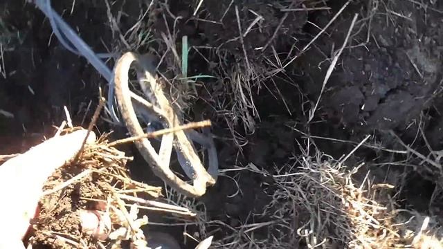 КТО БЫ МОГ ПОДУМАТЬ ! ЗАЛИПУХА ! смотреть онлайн