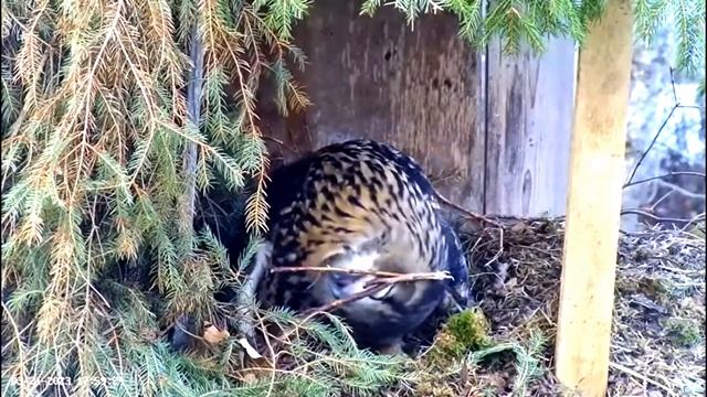 Making the Nest Egg Worthy ? 03/21/23 17:31 смотреть онлайн