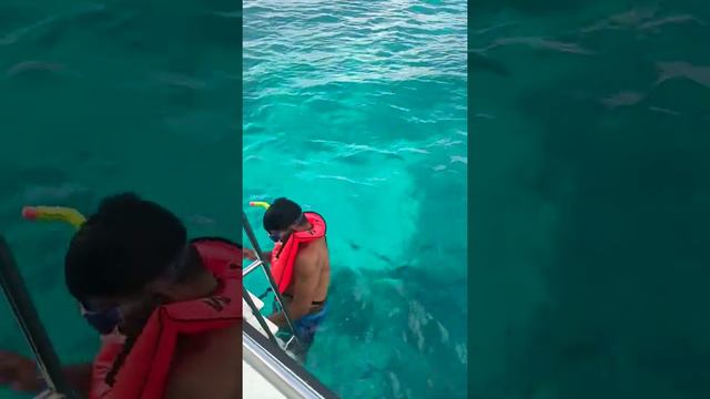 Snorkeling 🤿 in Maldives | South palm resort | fish watching смотреть онлайн