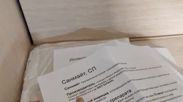 ПАУТИННЫЙ КЛЕЩ НА АДЕНИУМЕ #адениум #adenium