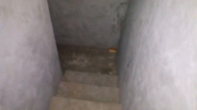 Гараж на два авто с погребом. Погреб смотреть онлайн