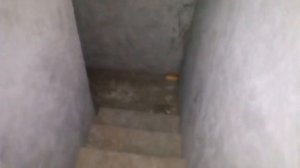 Гараж на два авто с погребом. Погреб