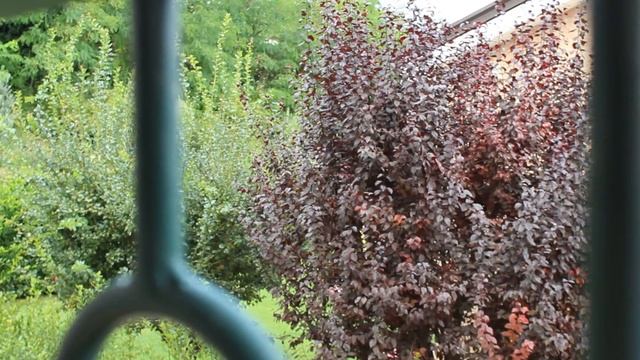 TEST CANON 1200D (18-55) VIDEO (1920X1080) E FOTO (VIDEO PHOTOS) смотреть онлайн