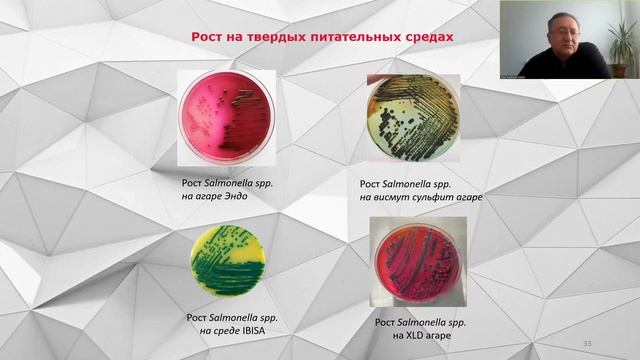 Проблемы сальмонеллеза при выращивании и на производстве. Методы детекции и эрадикации