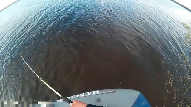 Рыбалка в д.Былино 2017 смотреть онлайн