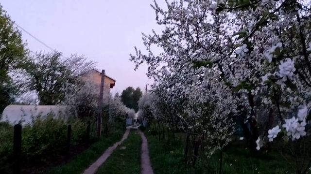 Ласточки прилетели... когда цвели сады смотреть онлайн