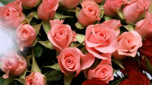 Sekret Garden-мелодия для души смотреть онлайн