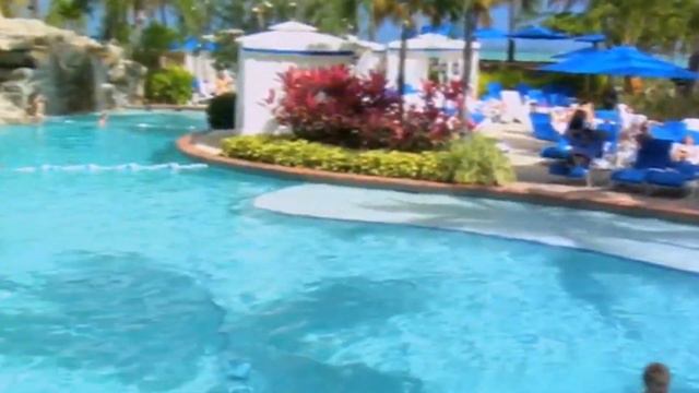 Top 10 All Inclusive Resorts in Puerto Rico | 2023 Travel Guide смотреть онлайн