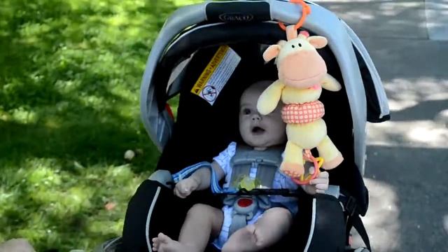 Stroller Ride