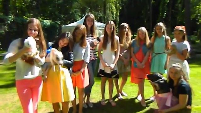 Животные на праздник и свадьбу 8(965)380-13-11, Мини-пиги на свадьбу