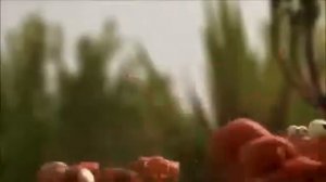 Сила командной работы