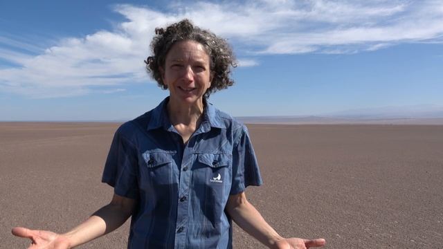 Les Eaux Souterraines en Zone Aride: cas de la Pampa del Tamarugal dans le Nord du Chili смотреть онлайн
