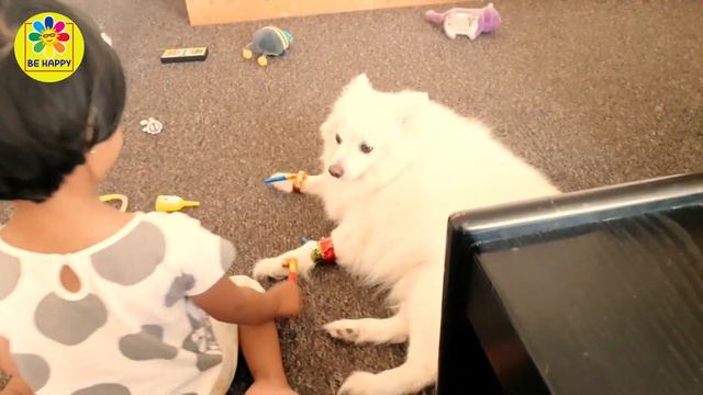 How My Dog & Daughter Spend Time Together at home | Be Happy |#vlog | Dog Bonding смотреть онлайн