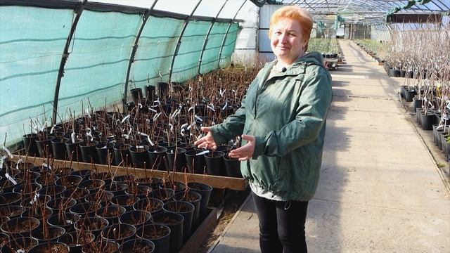 Открытие сезона с 25 марта 2022 года. Садовый центр в Никитском смотреть онлайн