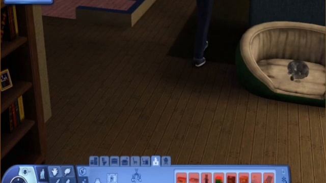 The Sims 3 Pets Expansion Pack - Gameplay смотреть онлайн
