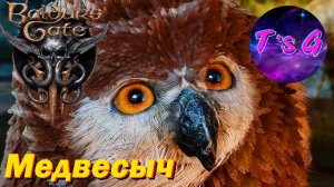 Как найти детеныша Медвесыча? Baldur's Gate 3 - Мини Гайд #7