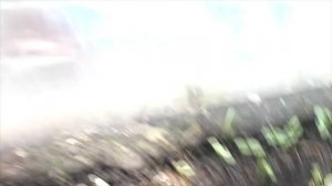 Мой парник «Хлебница» в июле/ Особенности, с чем столкнулась/ Часть 3/5