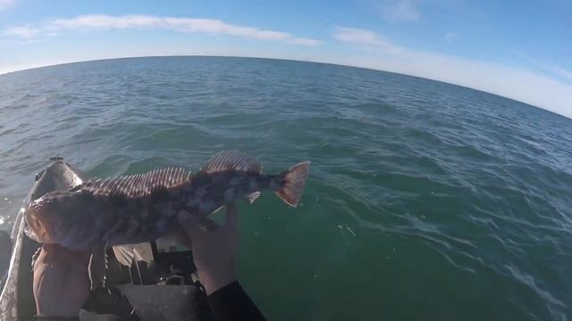 First Ever West Coast Mystery Tackle Box Slam (Epic Ending) смотреть онлайн
