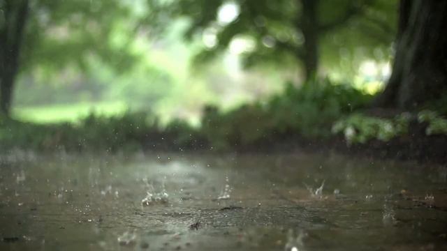 Rain, Relaxing Music, Stress Relief, Meditation Music смотреть онлайн