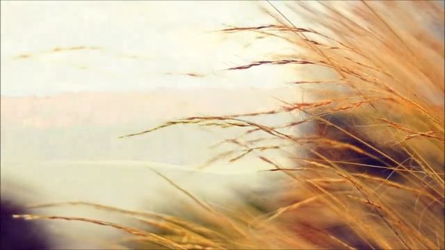 Тихое время с Живой Жизнью: Псалтирь 105:34–48 (25102018) смотреть онлайн