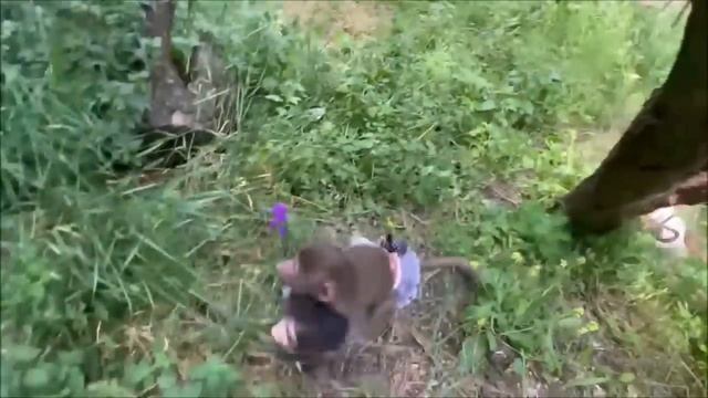 Большой секрет для тайгановской компании смотреть онлайн