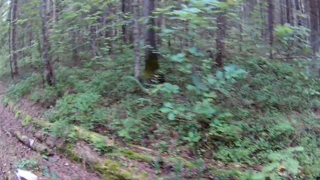 поход за грибами, теcт камеры EKEN H9R часть 2 смотреть онлайн