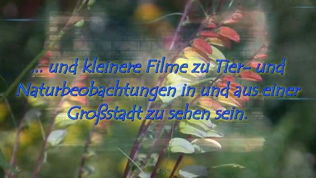 Trailer Sternenstaub смотреть онлайн