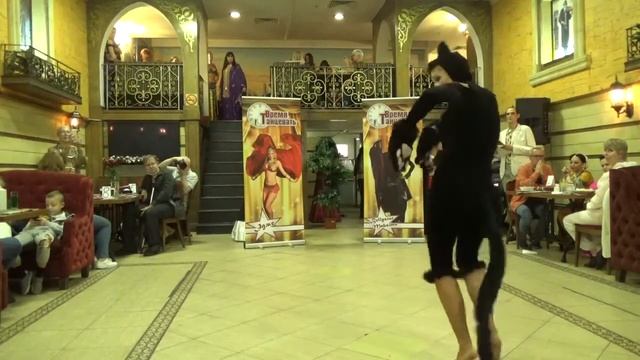 Наталья Малкина В каждой кошке есть дух Кошки смотреть онлайн