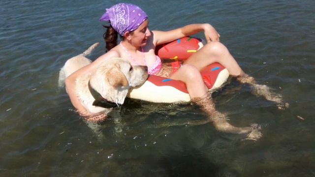 DOG'S SWIMMING IN THE SEA LABRADOR #СОБАКИНАМОРЕ ЛАБРАДОРЫ ПЛАВАЮТ В МОРЕ смотреть онлайн