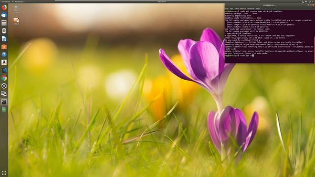 How to Install NetBeans 10 on Linux From Scratch (Tutorial) смотреть онлайн