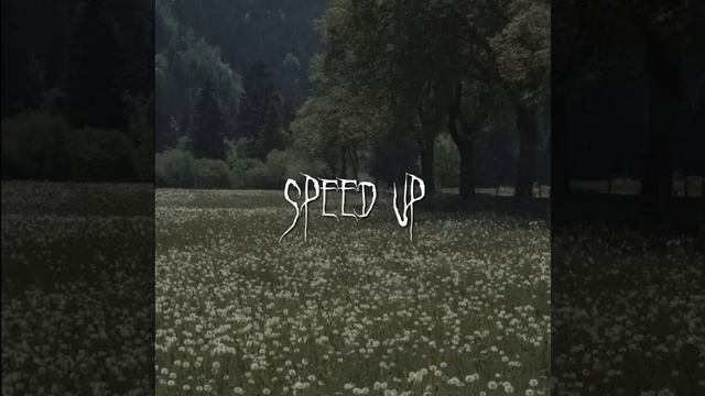 Jony & HammAli наверно ты меня не помнишь speed up смотреть онлайн