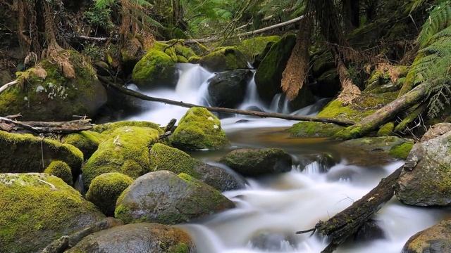 Мантра Са Та На Ма.mp4 смотреть онлайн