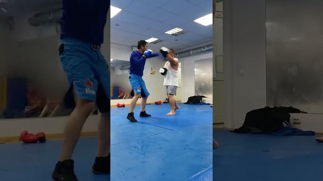 На лапах бокс смотреть онлайн