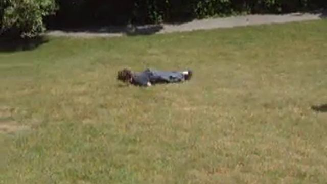roll down hill 2 смотреть онлайн