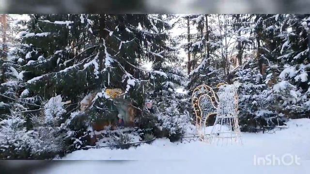 #Петербург (Ксения блаж,Лавра,Иоанновский).Красиво,вкусно#Вырица #Музей под открытым небом #Бродски смотреть онлайн