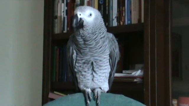 Познакомьтесь - Иннокентий смотреть онлайн