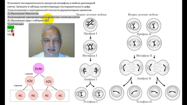 Видео-объяснение для Биоробота смотреть онлайн