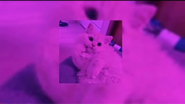 Daryana - Попробуй меня на на вкус ♡