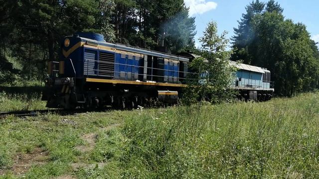 ТЭ114-0067, ТЭМ2У-8455 Маневры в ООО "Первый завод". смотреть онлайн