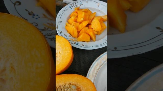 Кабачок цуккини сорта Золотинка разрезан на две дольки Шестнадцатого Октября и здесь много семян смотреть онлайн