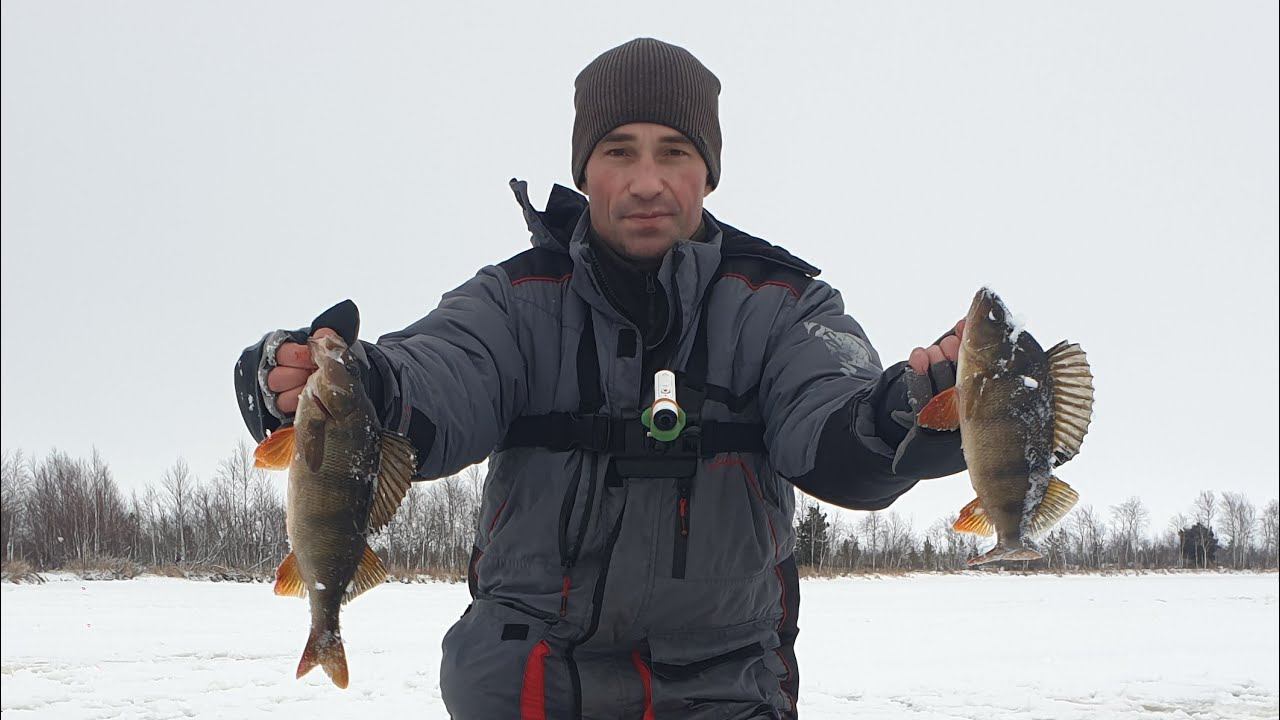 ОЗЕРО В ТУНДРЕ ГДЕ ЖИВУТ ГОРБАЧИ.КАКИЕ ЖЕ ПОКЛЕВКИ У НИХ МОЩНЫЕ .ЗИМНЯЯ РЫБАЛКА НА МОРМЫШКУ. смотреть онлайн