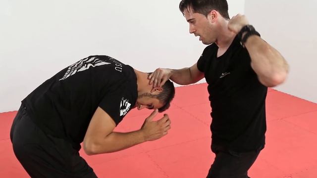 Ninjutsu self defense - Ep. 1 - Chest grab and roundhouse kick смотреть онлайн