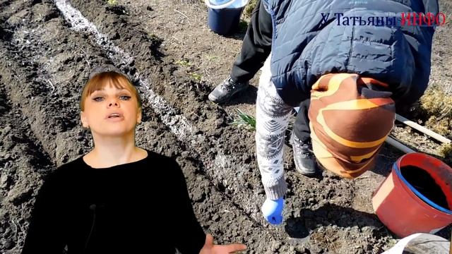 Выращиваем КРЕСС-САЛАТ: кладезь витаминов и миниралов! смотреть онлайн