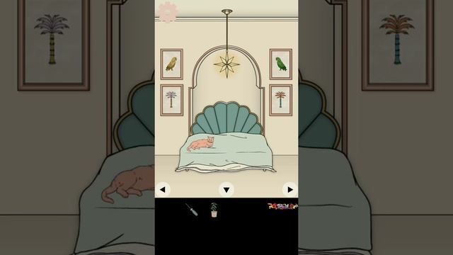 Cat Cat House Room Escape Game Walkthrough смотреть онлайн