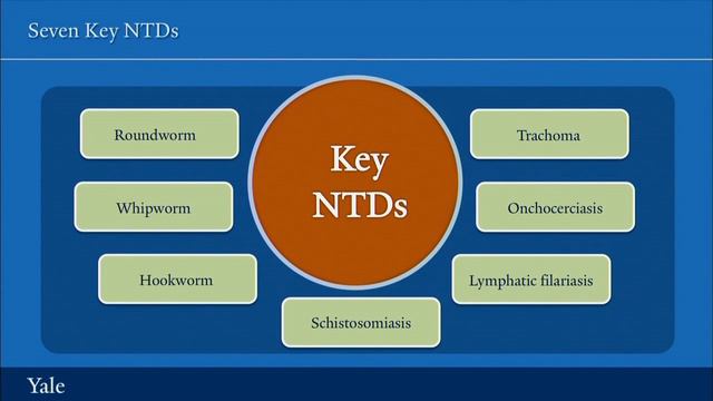 Neglected Tropical Diseases | Essentials of Global Health with Richard Skolnik смотреть онлайн