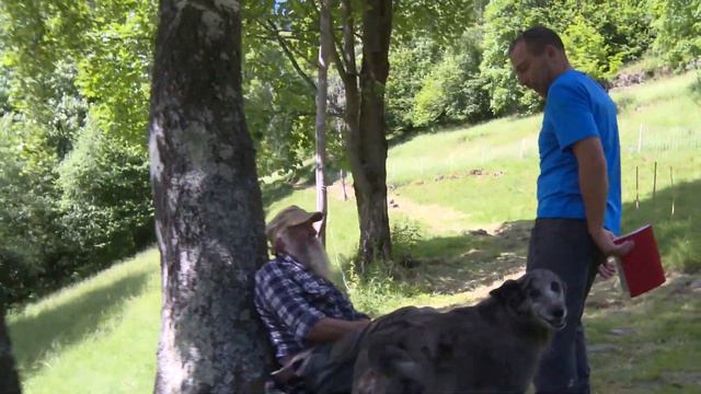 Erbe Selvatiche Commestibili Piemonte - Ribordone (TO) смотреть онлайн