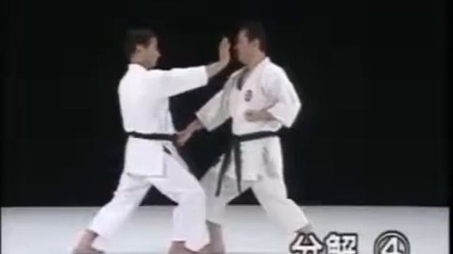 Shisochin Bunkai Shito-ryu